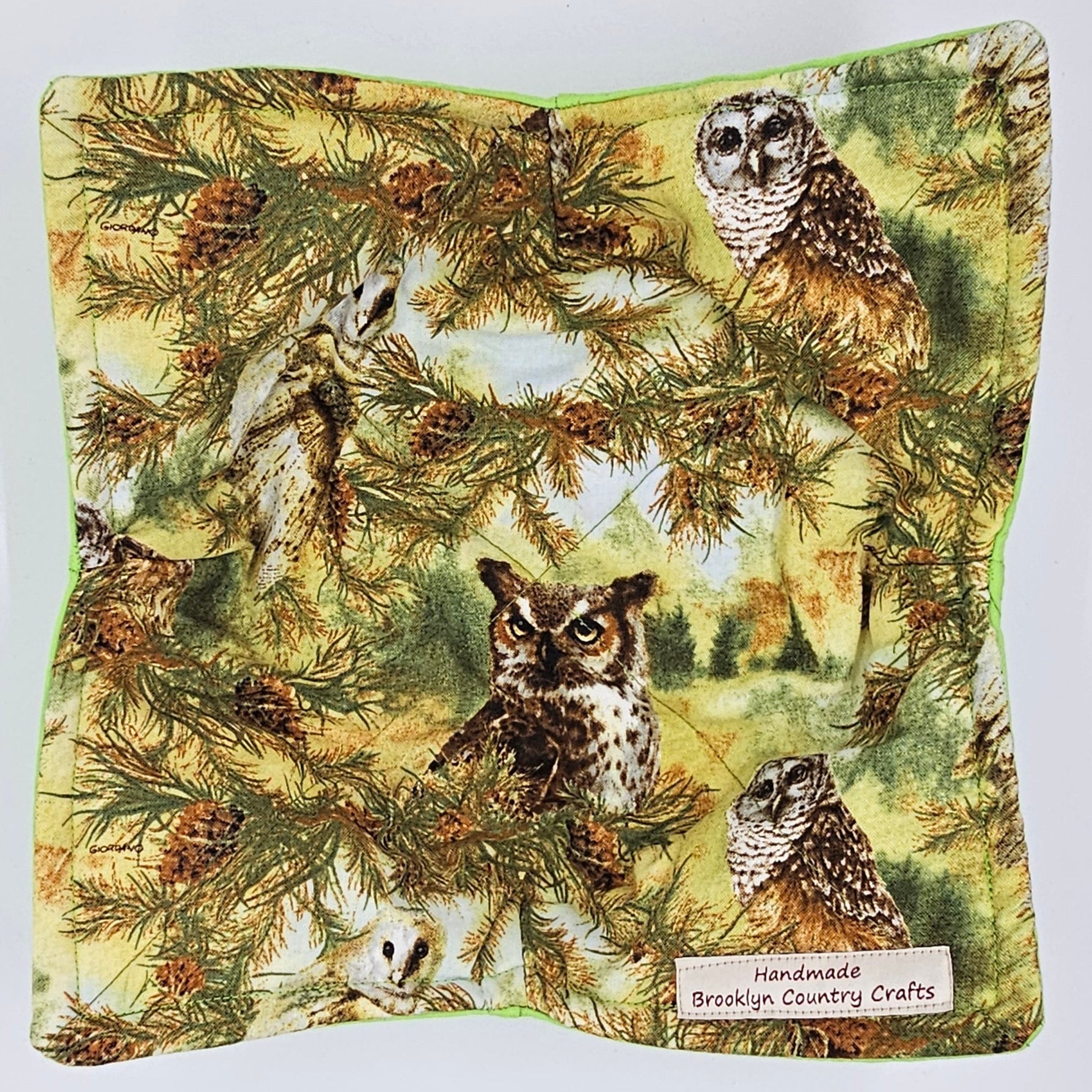 Owl