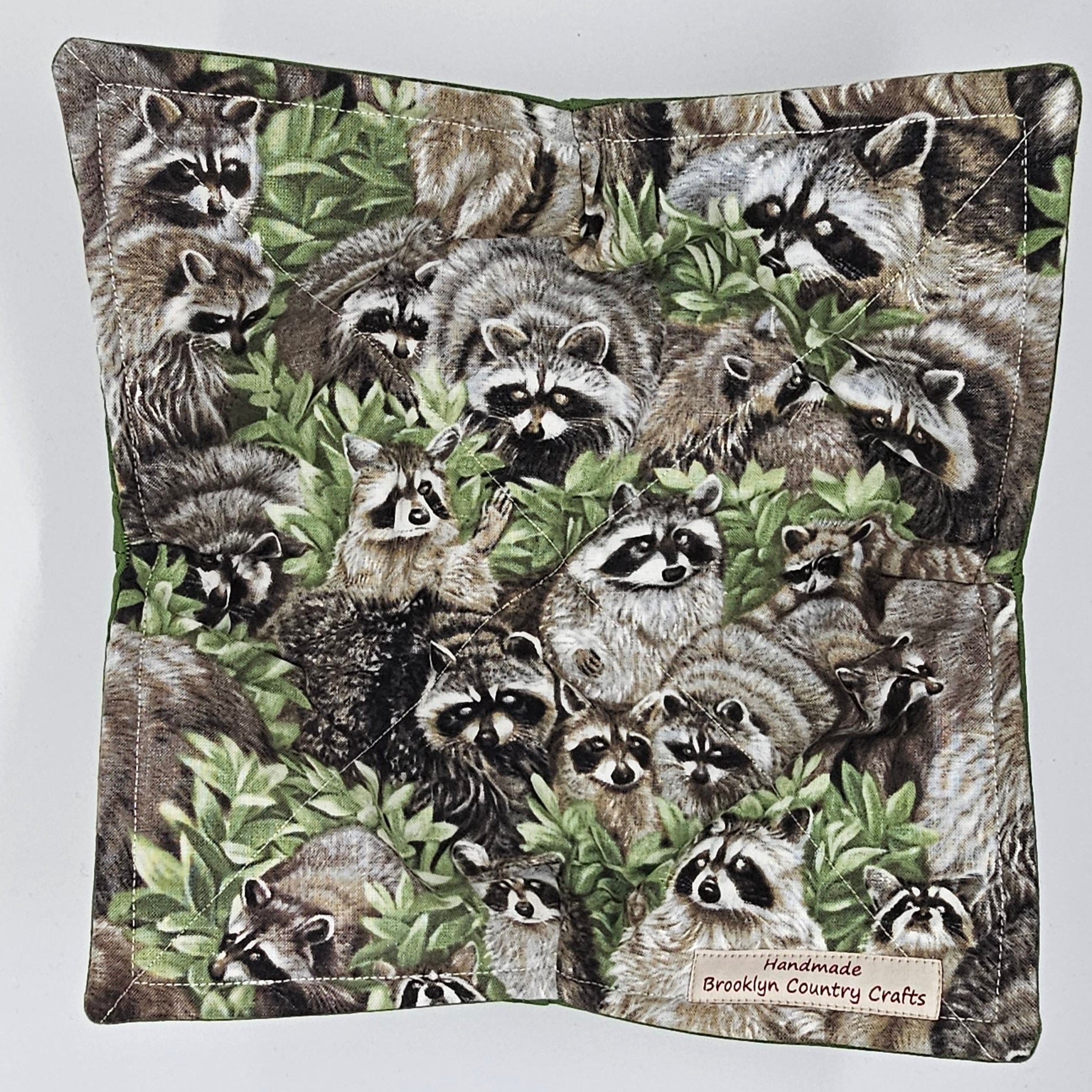 Racoon