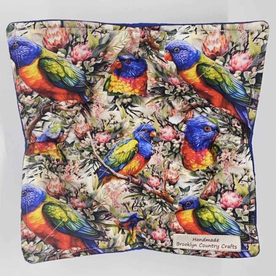 Rainbow Lorikeet